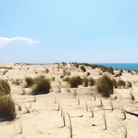 3 Pieces A 100m De La Avec Patio Et Parking - Fr-1-705-37 別荘